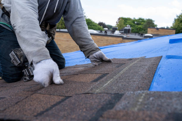 Best Local Roofing Companies  in Kinsey, AL